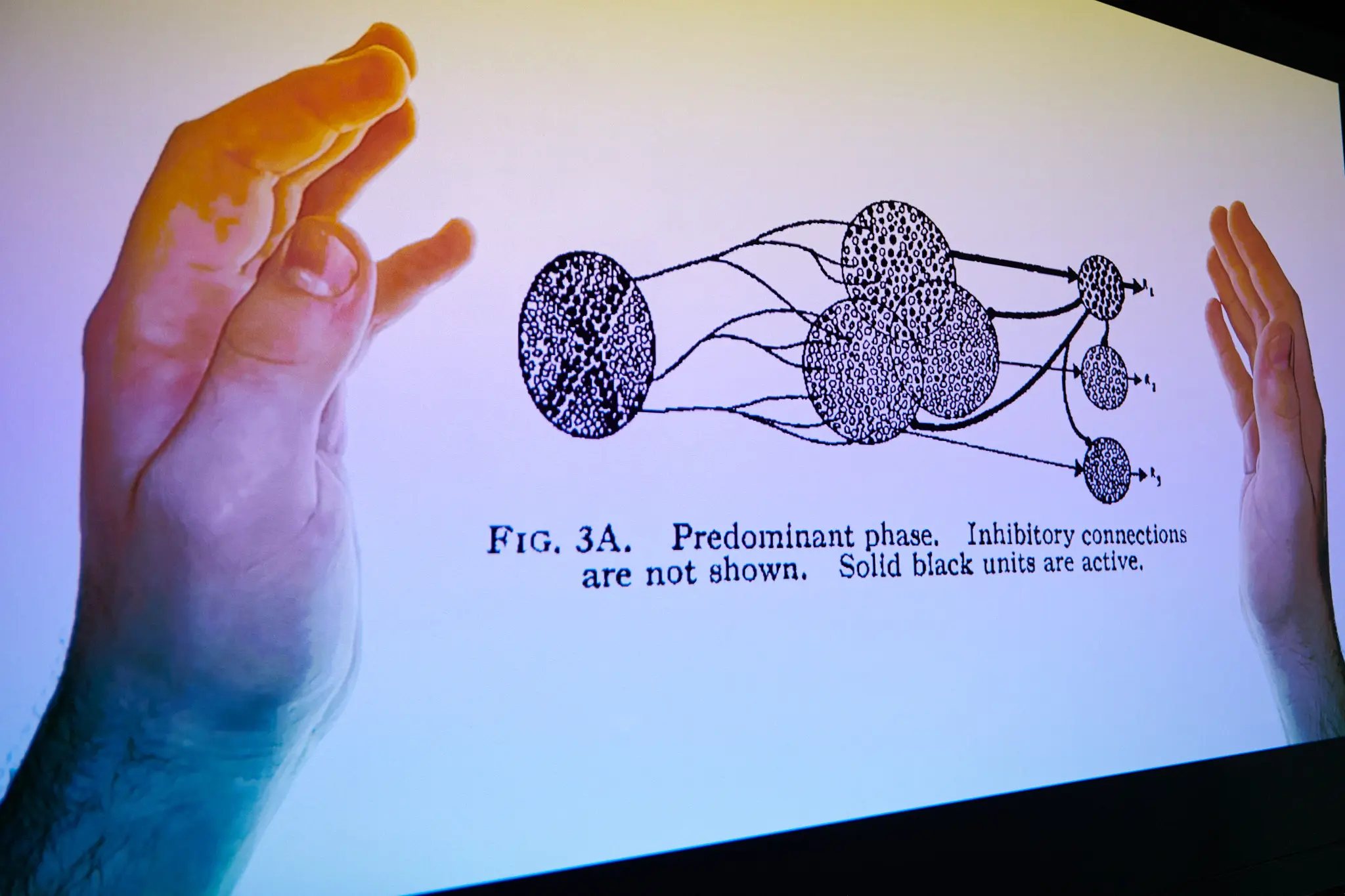 maxlive_festival_2021_lowres_92