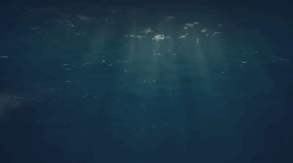 Sonic Sunset Capture