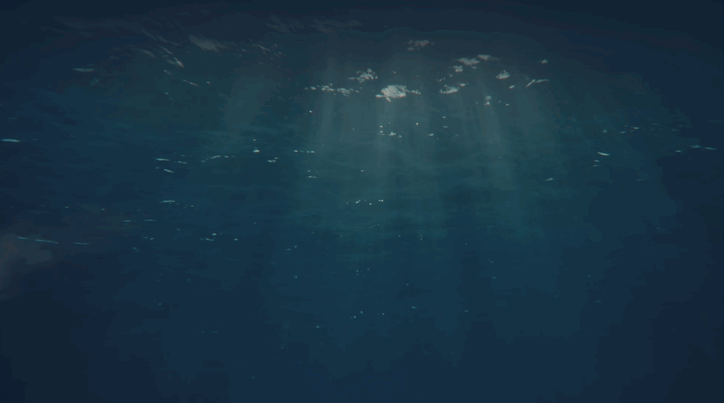 Sonic Sunset Capture