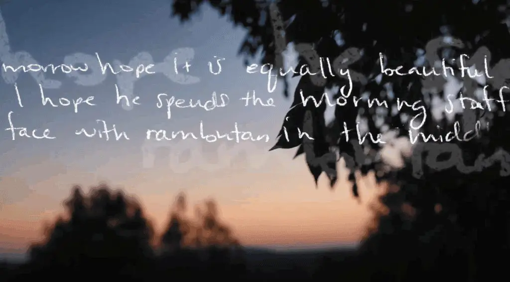 Sonic Sunset Capture