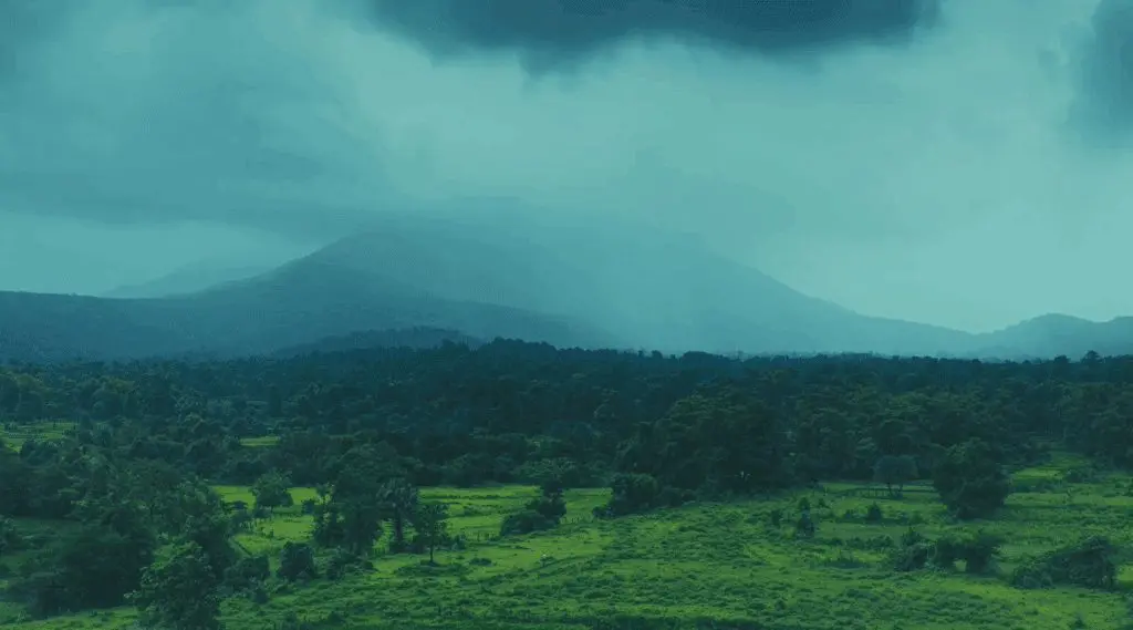 Sonic Sunset Capture