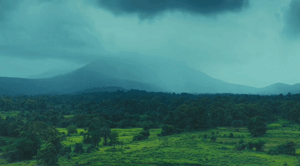 Sonic Sunset Capture