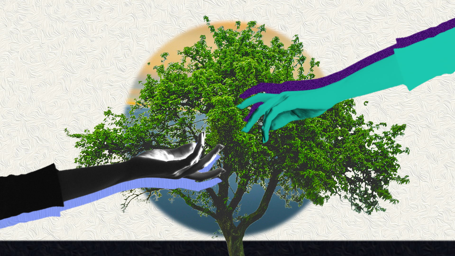 Season 24-25 Key Art