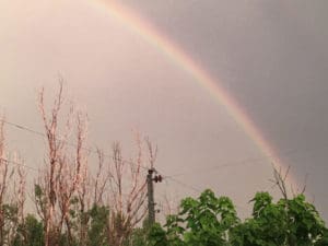 Rainbow over telephone lines