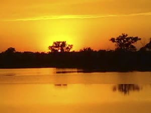 an orange sky reflected