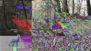 Grayson Earle Sitting in forest on laptop with glitch effect