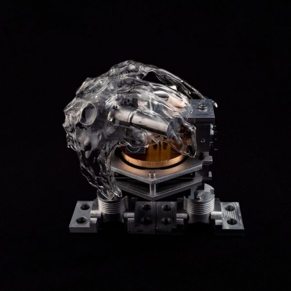 Living-Distance_1_Credit-Tim-Saputo--Xin-Liu