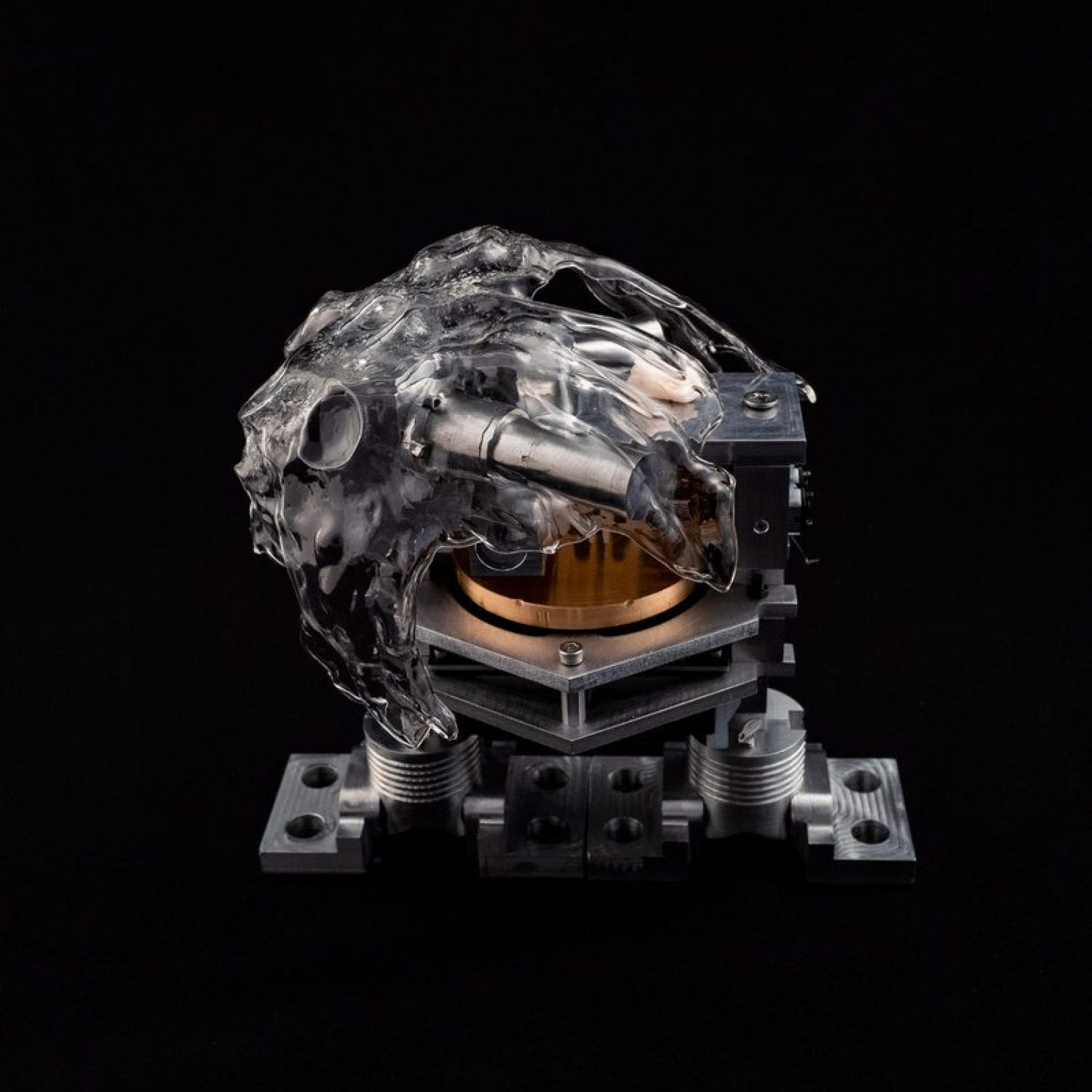 Living-Distance_1_Credit-Tim-Saputo--Xin-Liu