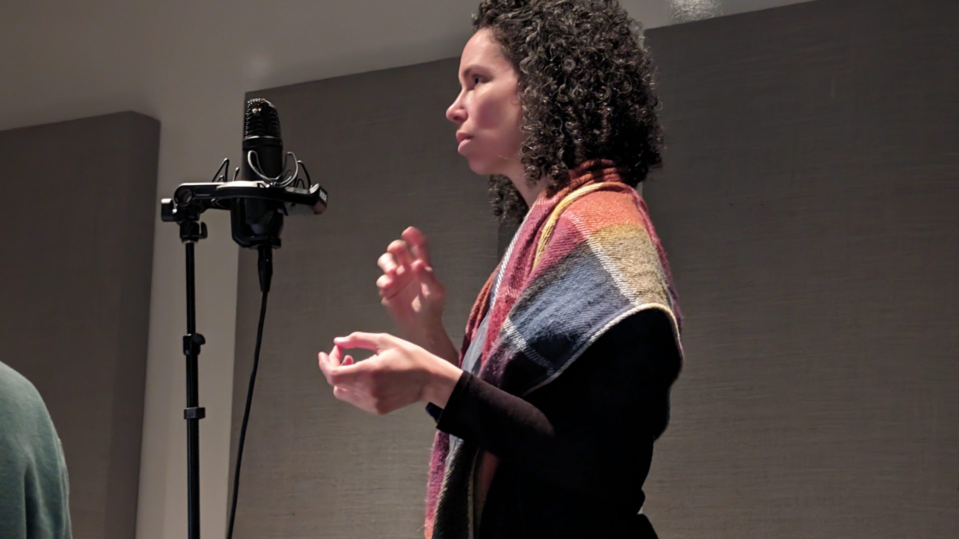 Liza Bagg recording for Sonic Sunset