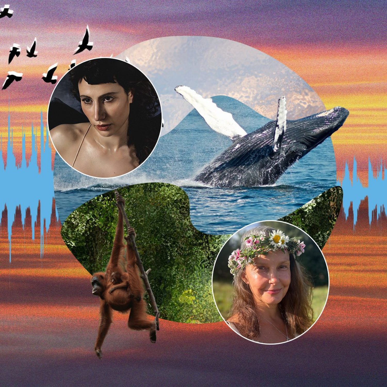 Nature Sings: A Sonic Revival Key Art with Eliza and Ashley Judd
