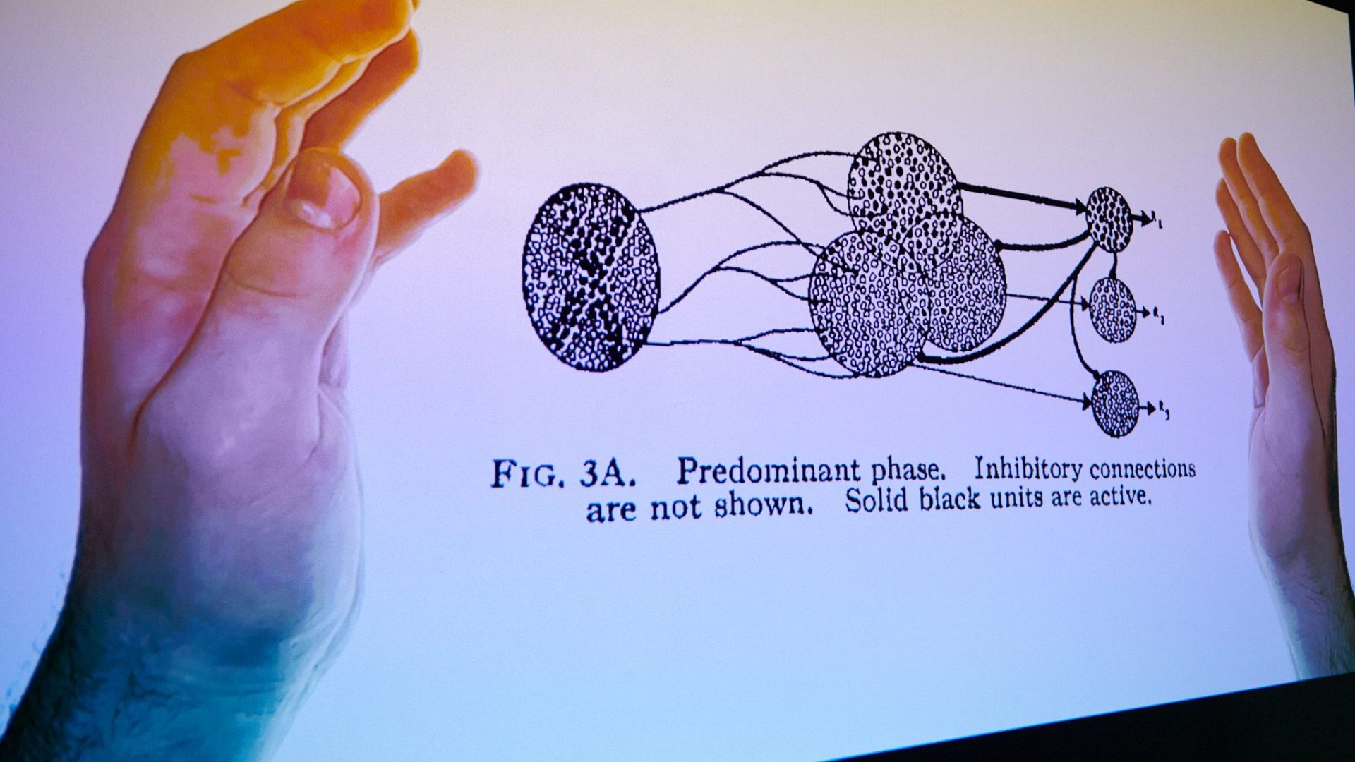 maxlive_festival_2021_lowres_92